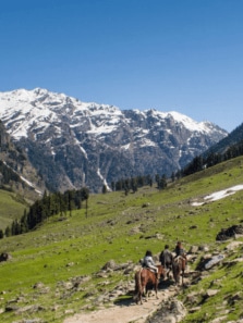 8 Breathtaking Valley Views in India That Feel Like Heaven