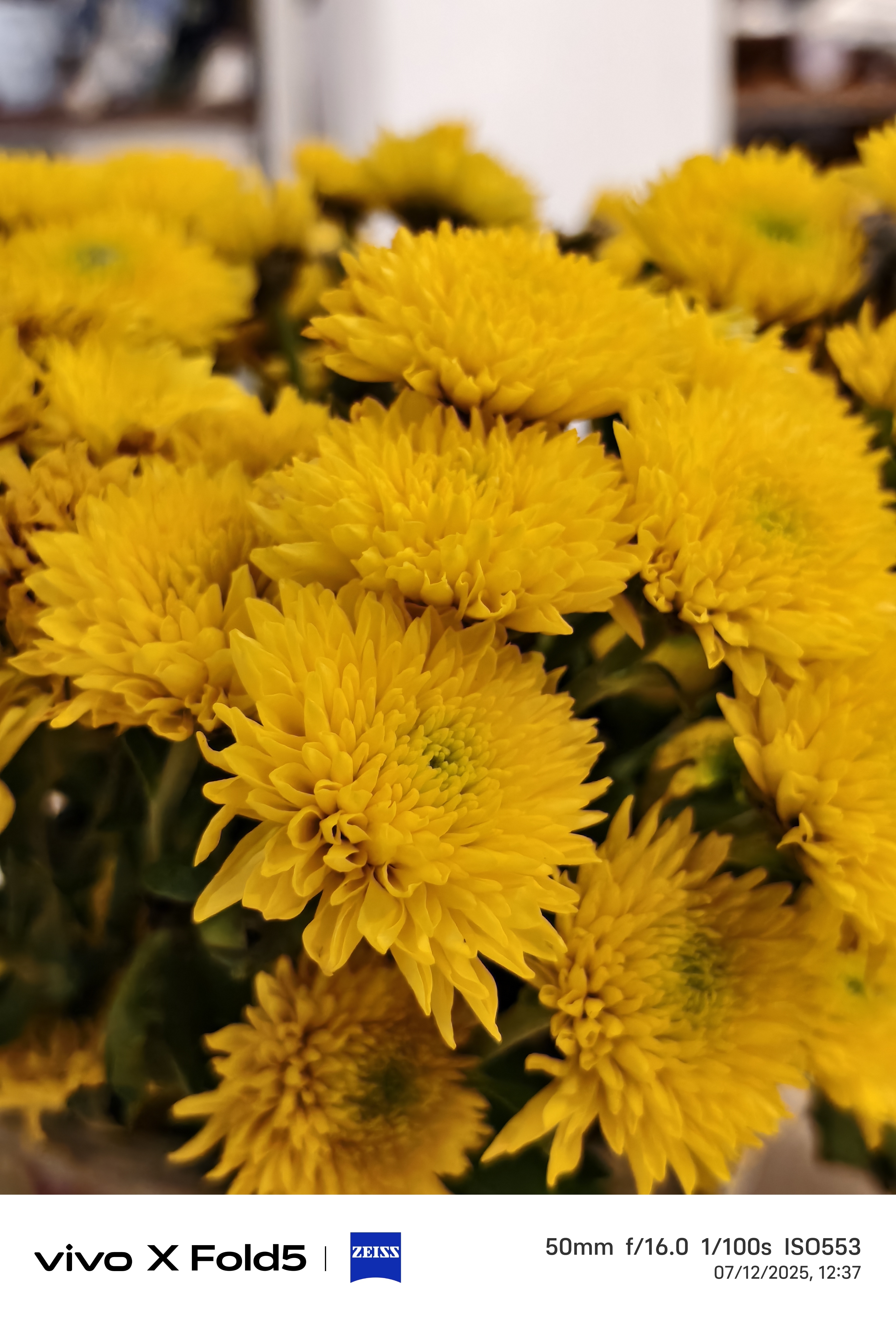  Camera Sample 2