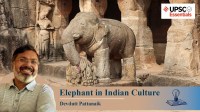 Elephants