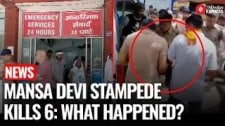 6 Dead, 29 Injured After Stampede at Mansa Devi Temple in Uttarakhand - What Really Happened?