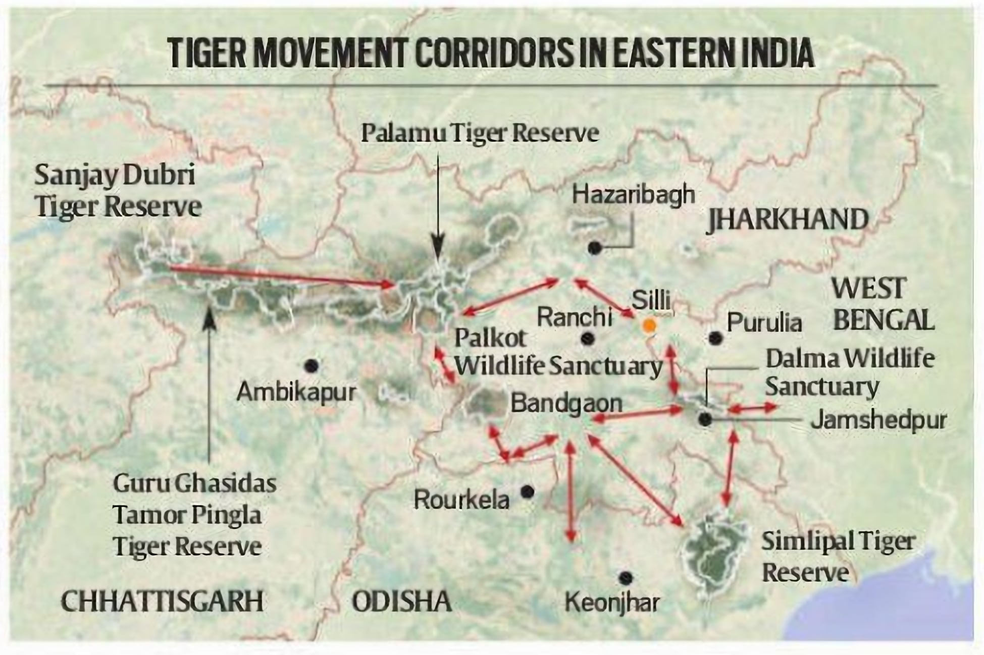 JHARKHAND TIGER