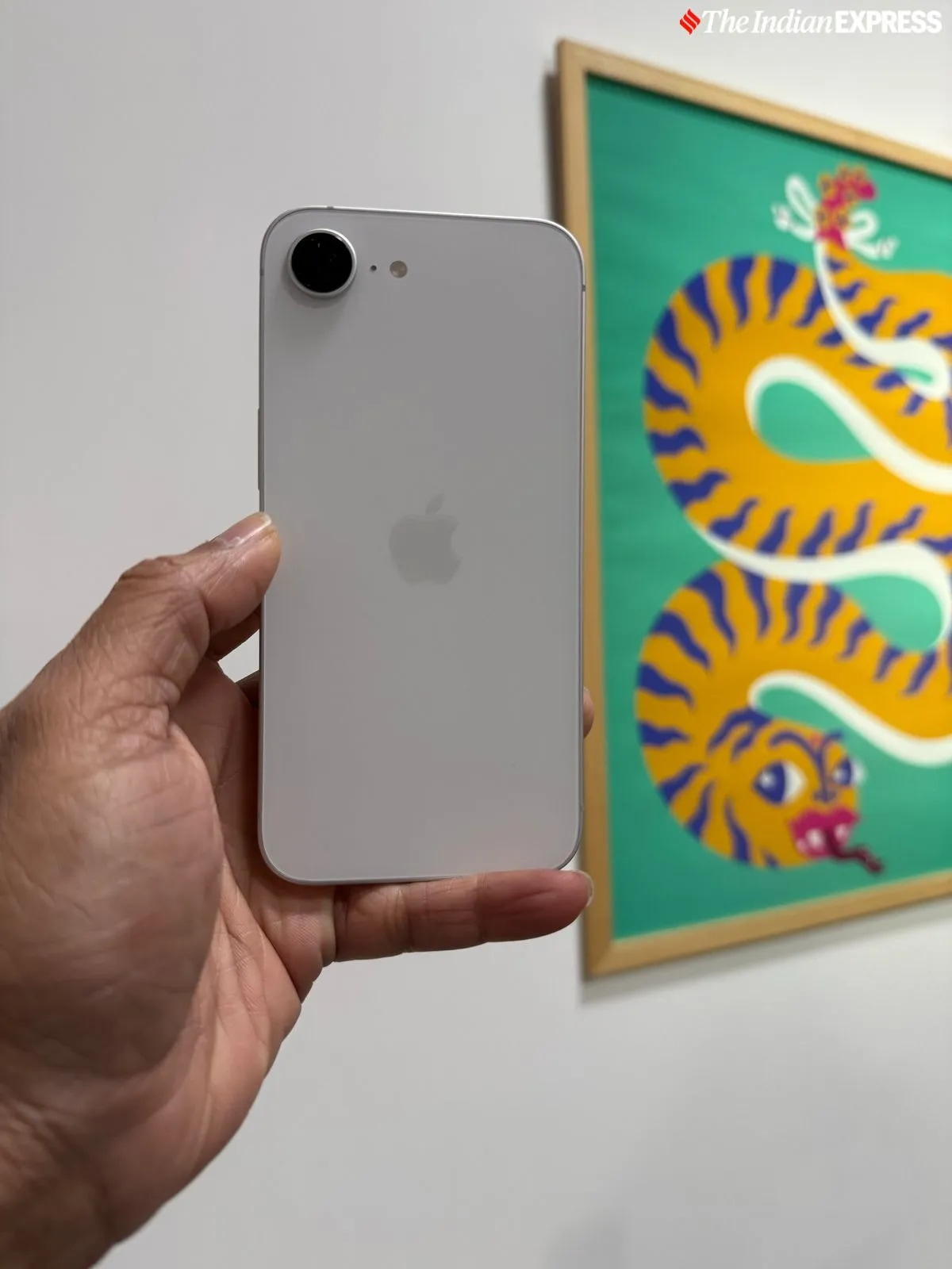 The iPhone 16e has a single 48MP camera.