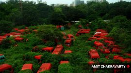 The parked BEST buses at the Wadala depot are now covered with overgrown monsoon greenery. Express Photo by Amit Chakravarty
