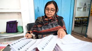 Bihar electoral revision