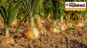 Explained: Biostimulants that aid plant growth, now under the Centre’s scrutiny