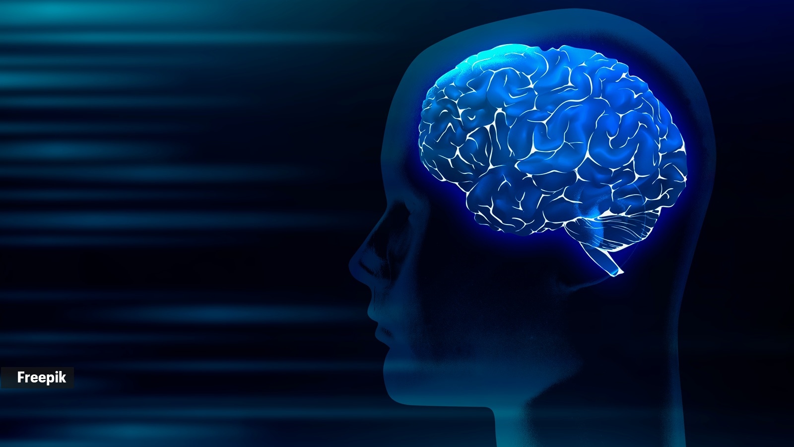 Neurologist's Top 10 Tips: Lifestyle & Diet for a Longer, Healthier Life