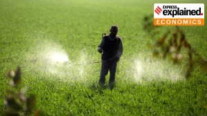 Conflict in Middle East: As world watches oil, why India must watch its fertiliser supply