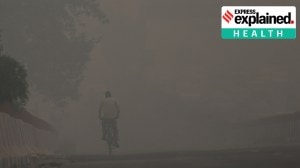 Long-term air pollution exposure increases dementia risk: What new study has found