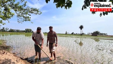 Gujarat unit elections, C R Patil, Uttar Pradesh Assembly elections, Krishi Bhawan, Agriculture Minister Shivraj Singh Chouhan, Delhi Confidential, Indian express news, current affairs