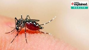 ICMR vaccine, malaria ICMR vaccine, malaria, malaria vaccine, ICMR, Indian Council of Medical Research (ICMR), Indian express explained, explained news, current affairs