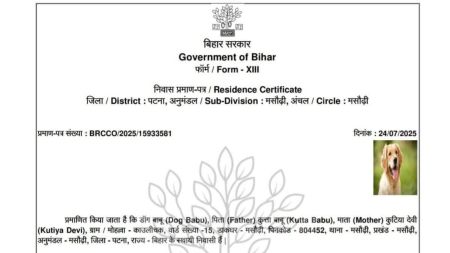The certificate was digitally signed by a revenue officer, with a QR code on the bottom left to mark its authenticity under the Bihar Right to Public Services Act, 2011.