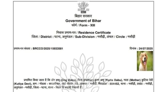 Residence certificate for ‘Dog Babu’: Circle Office employee arrested for ‘generating document using govt systems’