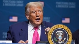 Donald Trump, afghan refugees, uae