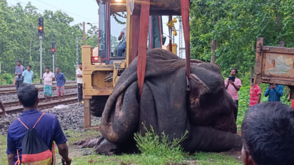 3 elephants, including mother & calf, killed by train while being driven away by hula party in Bengal's Jhargram