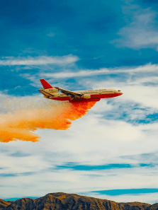 Hidden Dangers: Why You Can’t Carry Dried Coconuts on Planes