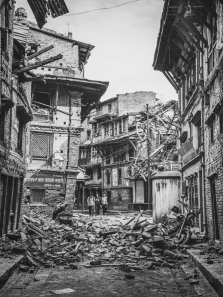 Can Animals Sense Earthquakes Before Humans?