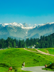 9 Underrated Hill Stations in India for Your 2025 Travel Bucket List
