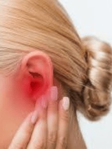 Beware, this common household insect can crawl into your ear while you sleep