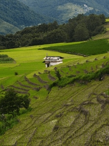 Hidden Villages in India That Look Too Good To Be Real