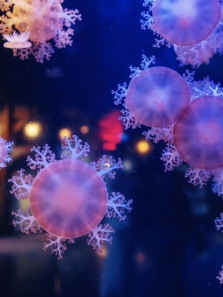 These Deep-Sea Creatures Glow in the Dark