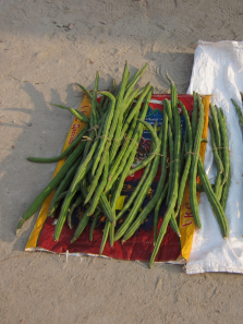 Why Moringa is the Ultimate Nutrient Powerhouse