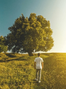 8 Benefits of Walking 30 Minutes Daily – What No One Tells You