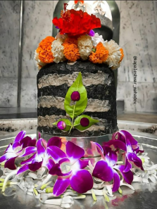 Sawan 2025: 7 Flowers Believed To Be Lord Shiva’s Favourites