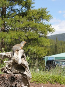 10 unique wildlife sanctuaries in India you must visit