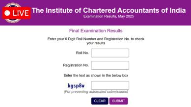 ICAI CA Result 2025 LIVE: Foundation, Inter, Final results out at icai.org; meet toppers