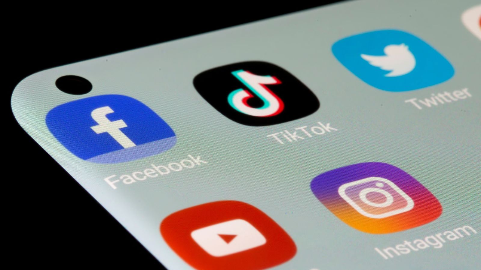 Social media accounts of Pakistani cricketers, actors blocked again