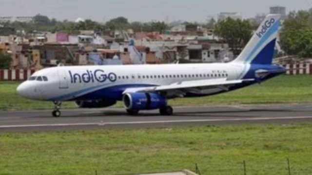 Indigo