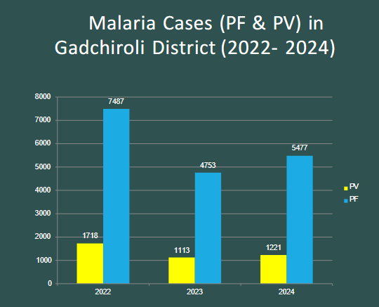 malaria cases in gadchiroli