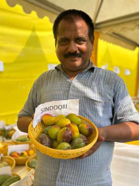 mango farmer