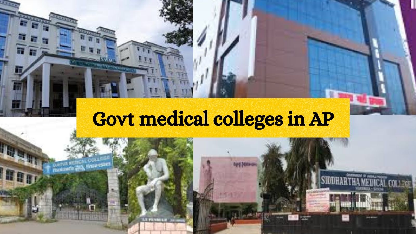 NEET UG 2025 Counselling: List of government medical colleges in Andhra Pradesh