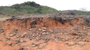 illegal mining in nuh