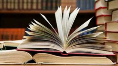 Over 4.7 lakh pirated NCERT textbooks seized since 2024: Education Ministry tells RS