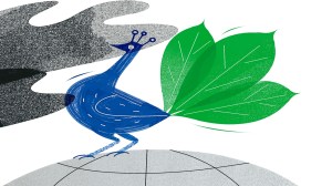 The milestone ICJ opinion on climate obligations is not just a verdict from afar, but a compass