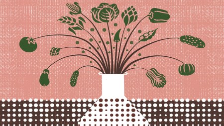 To improve both crop and human nutrition, India needs a paradigm shift