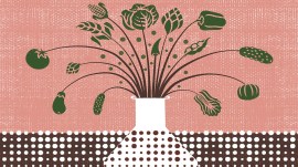 oped illustration To improve both crop and human nutrition, India needs a paradigm shift