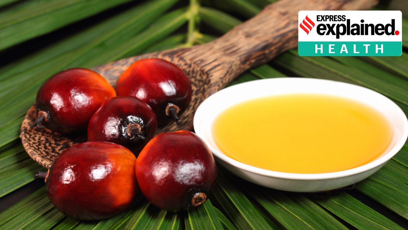 Palm Oil: Is It Really That Bad for You? A South African Perspective