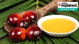 Is palm oil bad for your health? Here’s what the science says