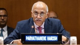 india on gaza ceasefire