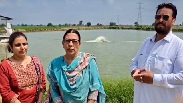 Punjab, the area under fish farming has expanded from 41,093 acres in 2020–21 to 43,683 acres in 2024–25, marking an increase of 2,590 acres.