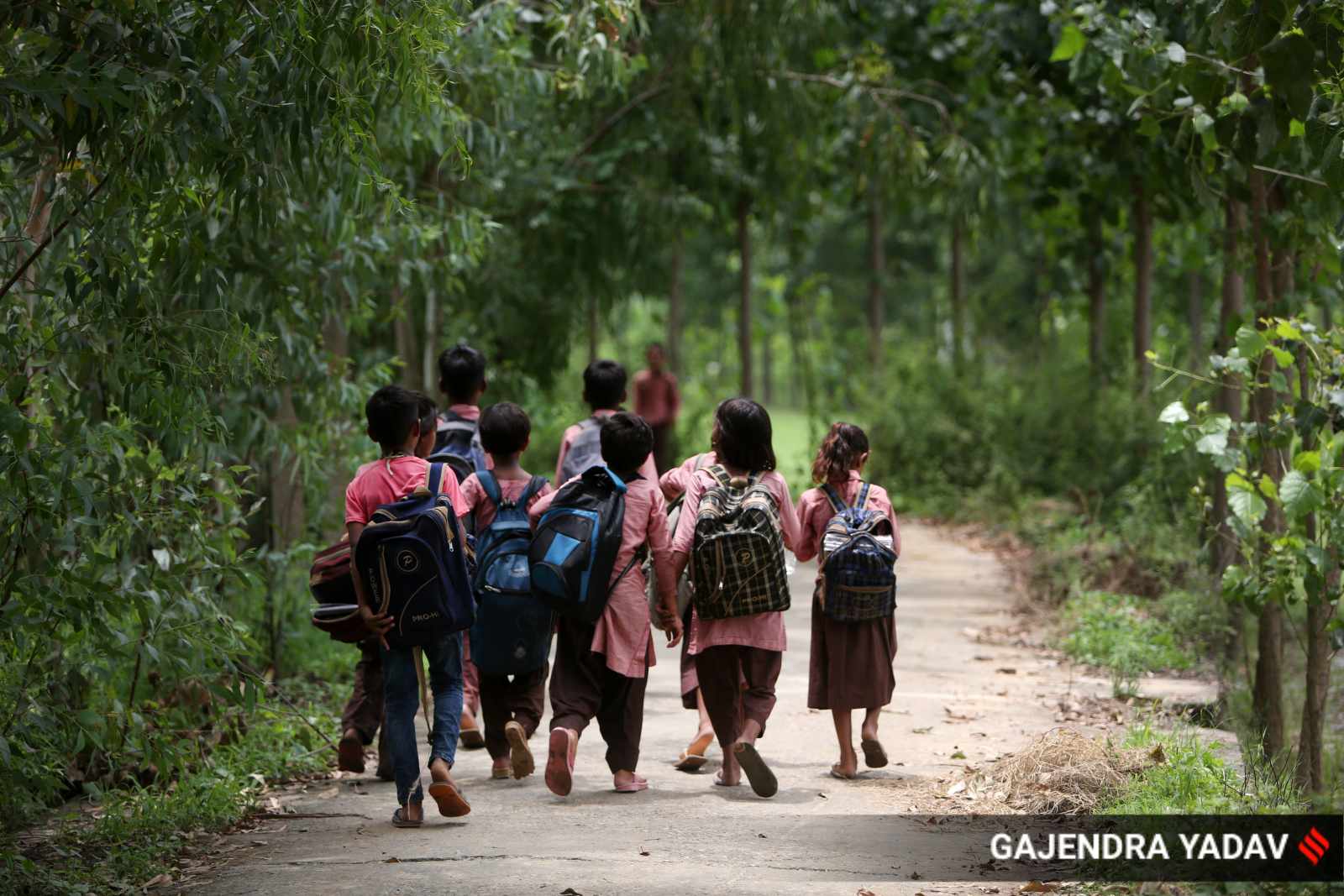 Uttar pradesh school merger
