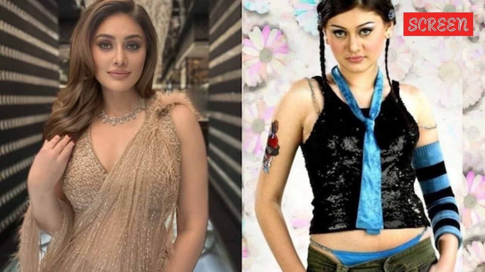 Shefali Jariwala death rumors surfaced post 'Kaanta Laga' success