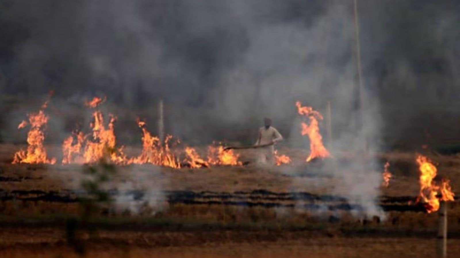 CAQM reviews action plan for stubble burning, vehicular emissions with Punjab, Haryana