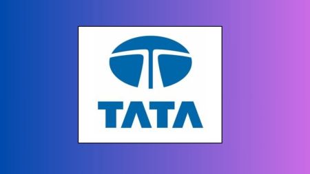 The stocks have attracted the attention of the shareholders due to strong market rally.