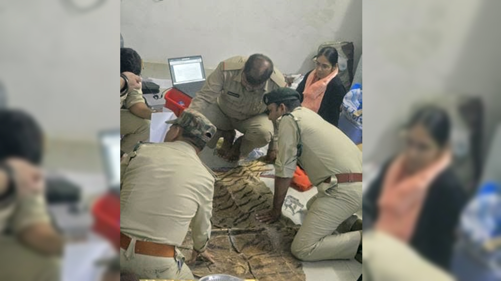 MP Official Faces Corruption Charges, Tiger Skin Found at Home