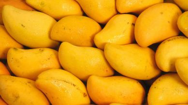 The difference of payment between selling price and the MIP will be paid to farmers through Direct Benefits Transfer (DBT) and the Centre and state will share the cost in the ratio of 50:50.