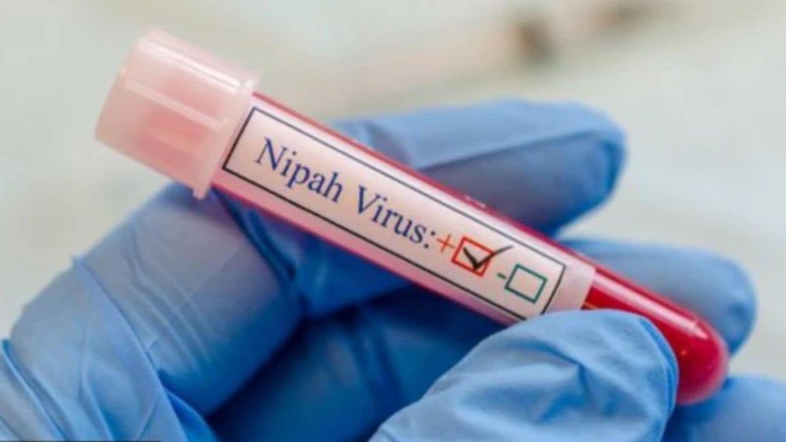 Kerala sounds alert as Nipah virus cases emerge in districts
